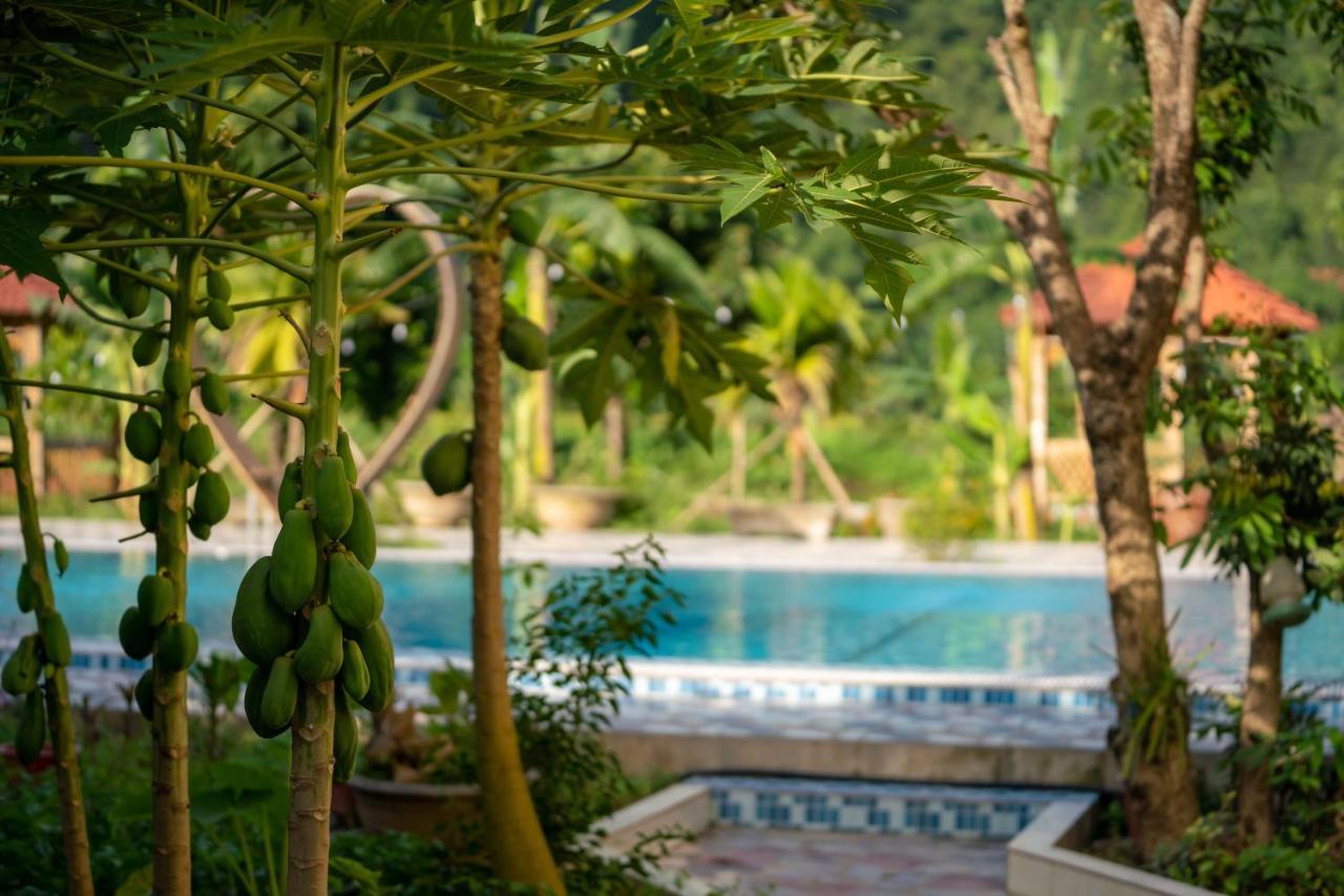 Tan Dinh Farmstay Ninh Binh Exterior foto